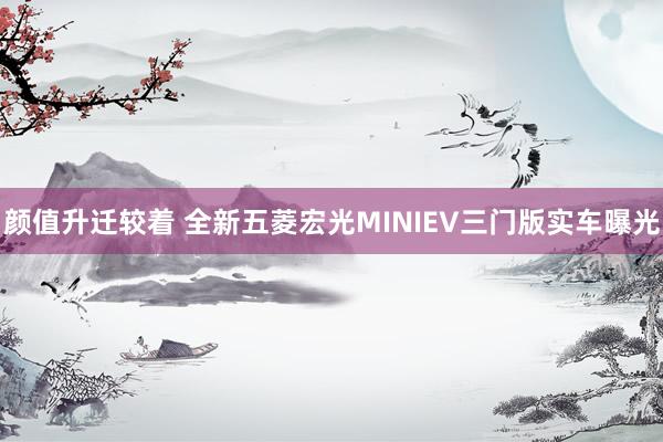 颜值升迁较着 全新五菱宏光MINIEV三门版实车曝光