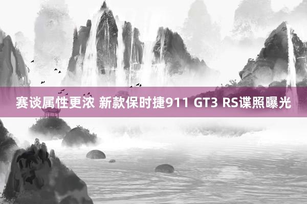 赛谈属性更浓 新款保时捷911 GT3 RS谍照曝光