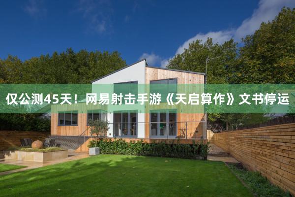 仅公测45天！网易射击手游《天启算作》文书停运