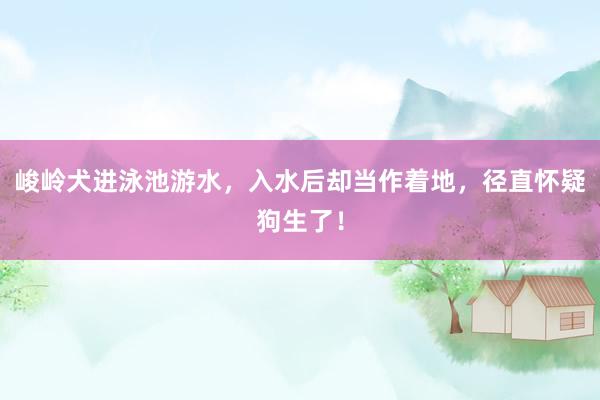 峻岭犬进泳池游水，入水后却当作着地，径直怀疑狗生了！